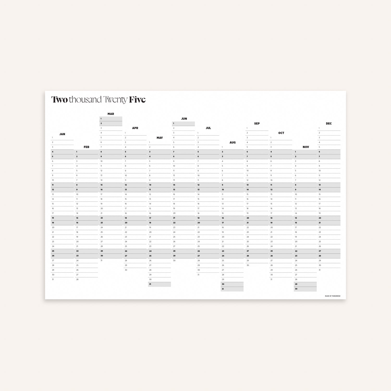 2025 Yearly Wall Planner